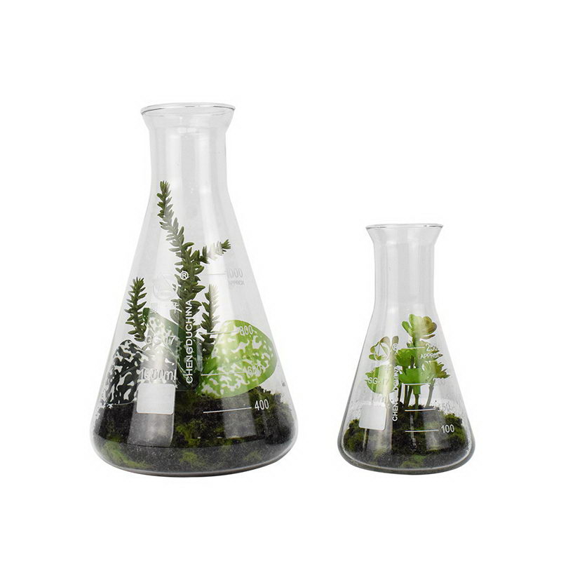 Mixed leaves in Bottle Pot 