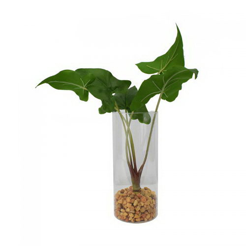 Calla Lily Leaves in Glass Pot with Stones