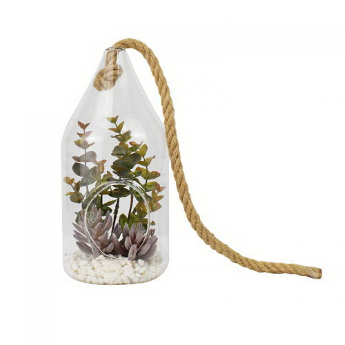Mixed Succulent in Glass Pot with Hanging Cord