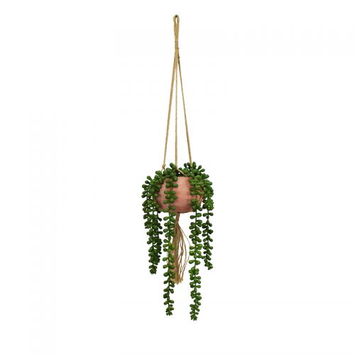 Bean Leaves in Hanging Paper Mache Pot with Rope