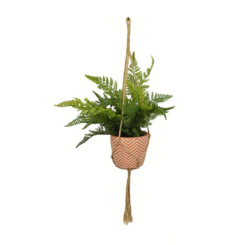 Celery in Hanging Ceramic Pot with Rope