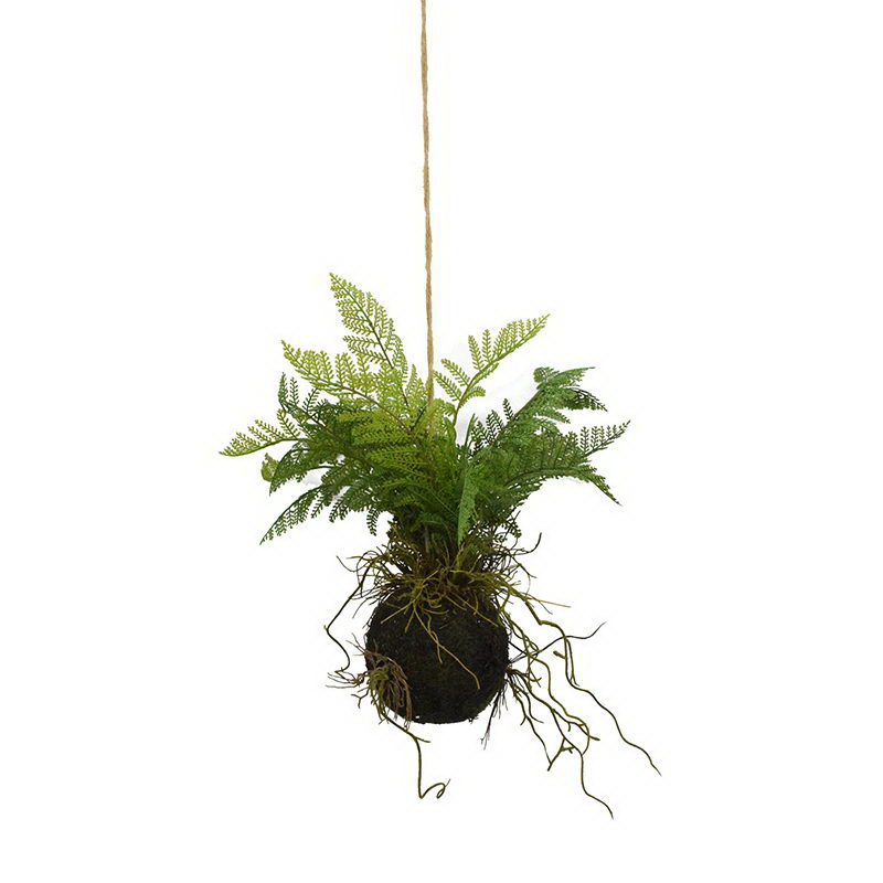 Hanging Fern Ball