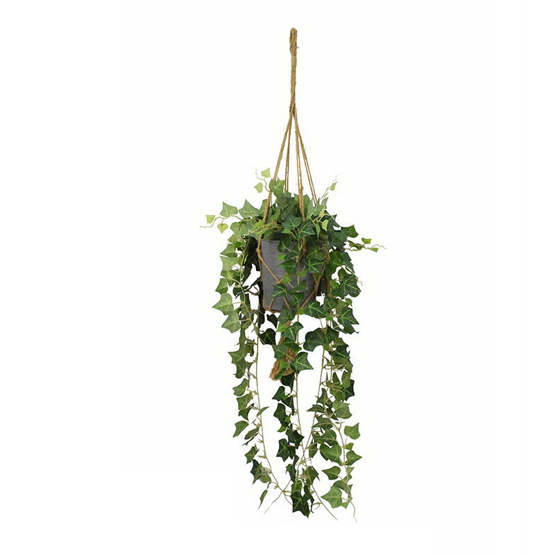 Greenery in Hanging Paper Mache Pot 