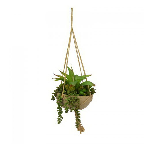 Mix Succulent in Hanging Paper Pot