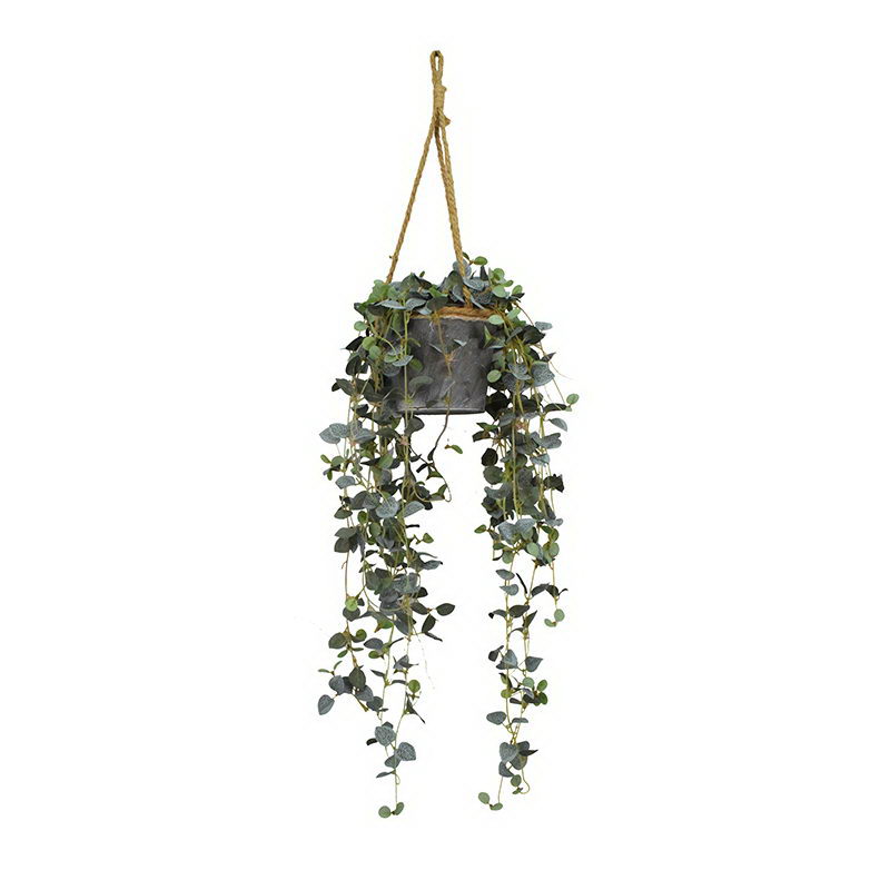 Mini Leaves In Iron Pot With hemp rope hanging