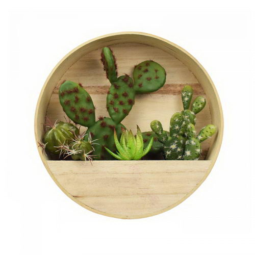 Mixed Succulent in Wall Decor Wooden Case