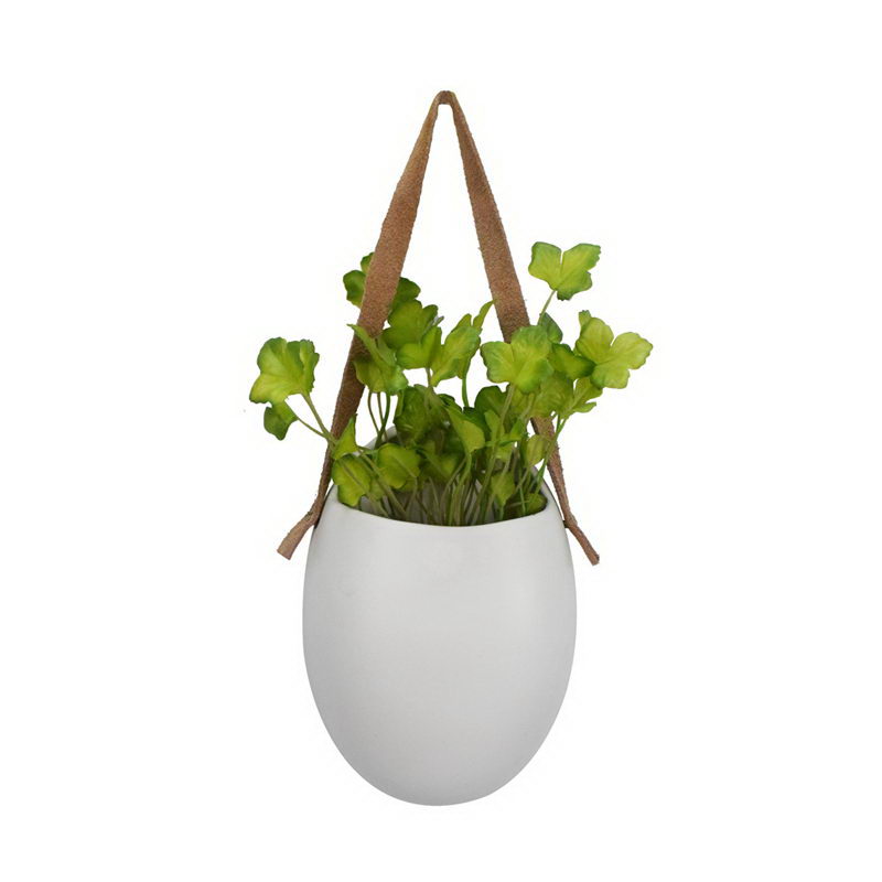 Parsley in hanging ceramic pot