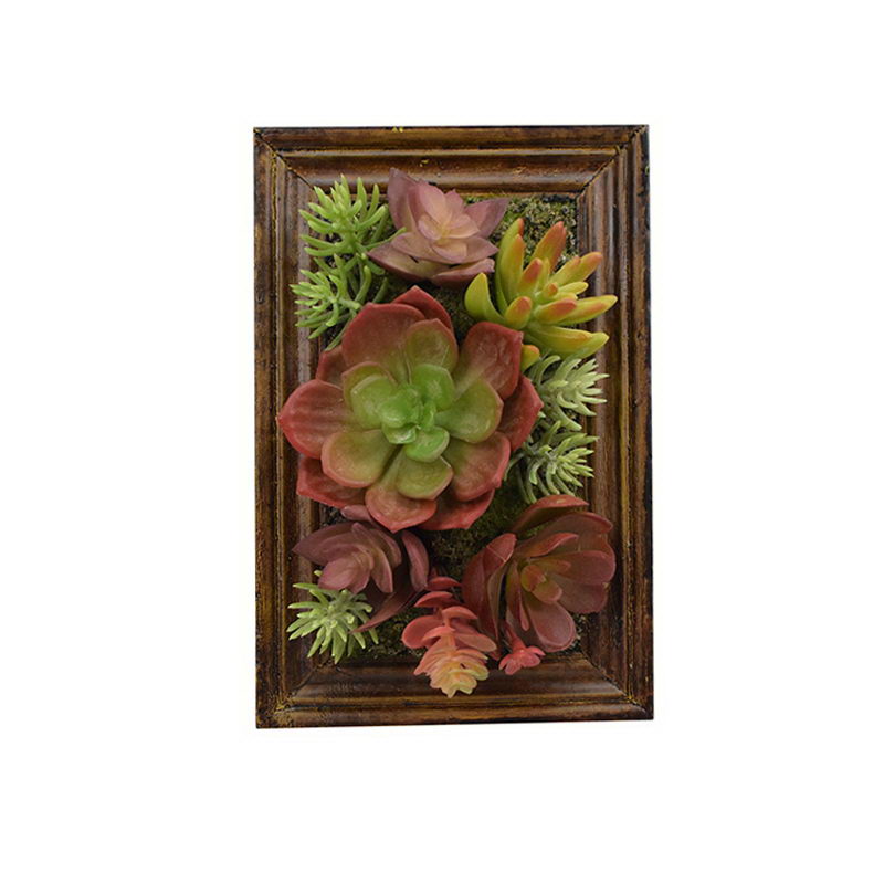 Mixed succulent in wooden box
