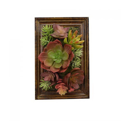 Mixed succulent in wooden box
