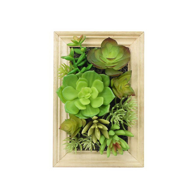 Mixed succulent in wooden box