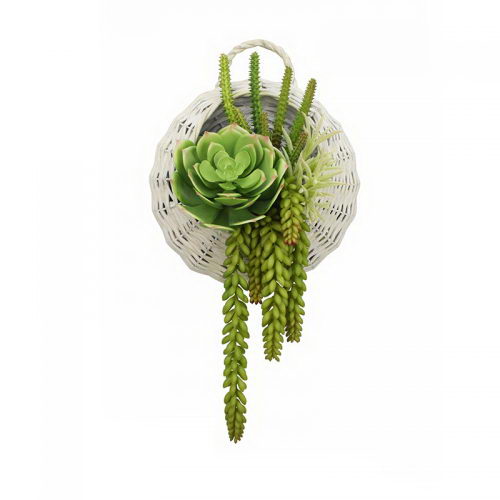 Mixed succulent in wall deco basket