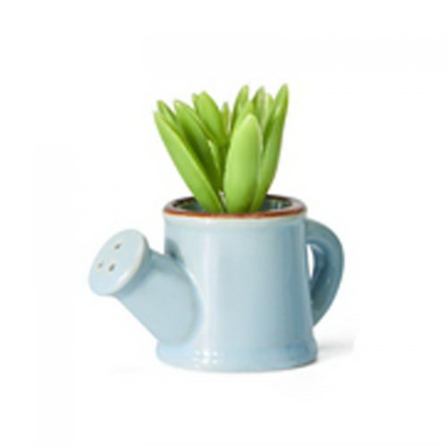 GRASS GREEN CERAMIC WATERING CAN BLUE