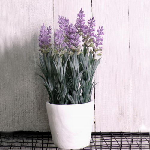 Lavender in Rattan Basket