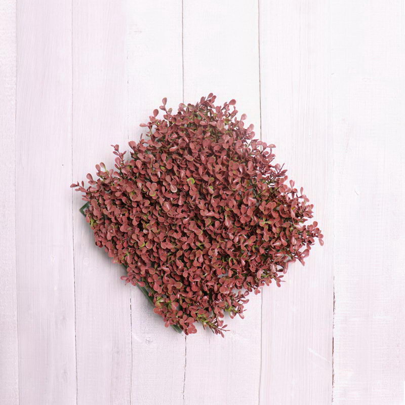 Grass Sod