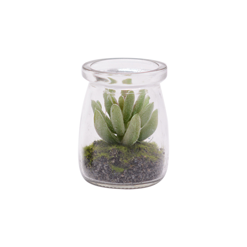 Succulent Lotus with Gravel in Glass Vase