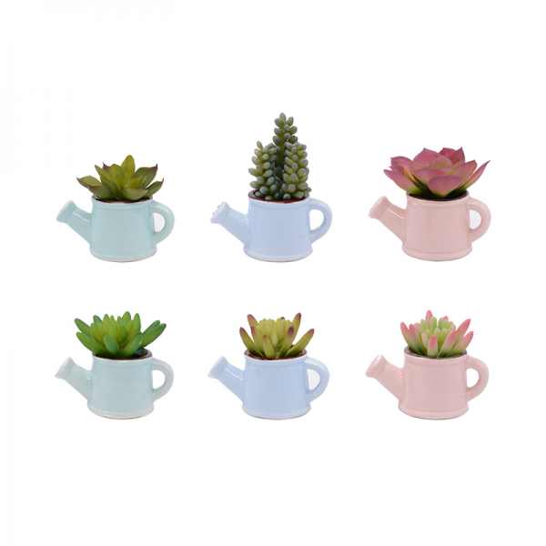 Mini Succulent Lotus in Ceramic Pot