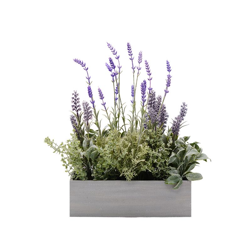 Lavender in Wooden Box 