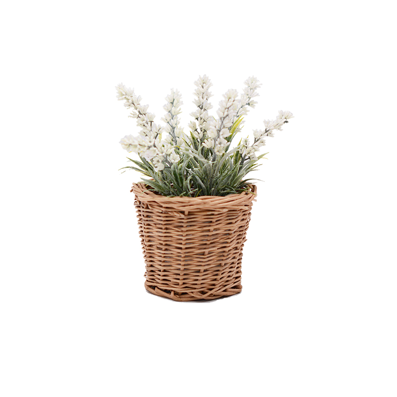 Lavender in Rattan Basket 