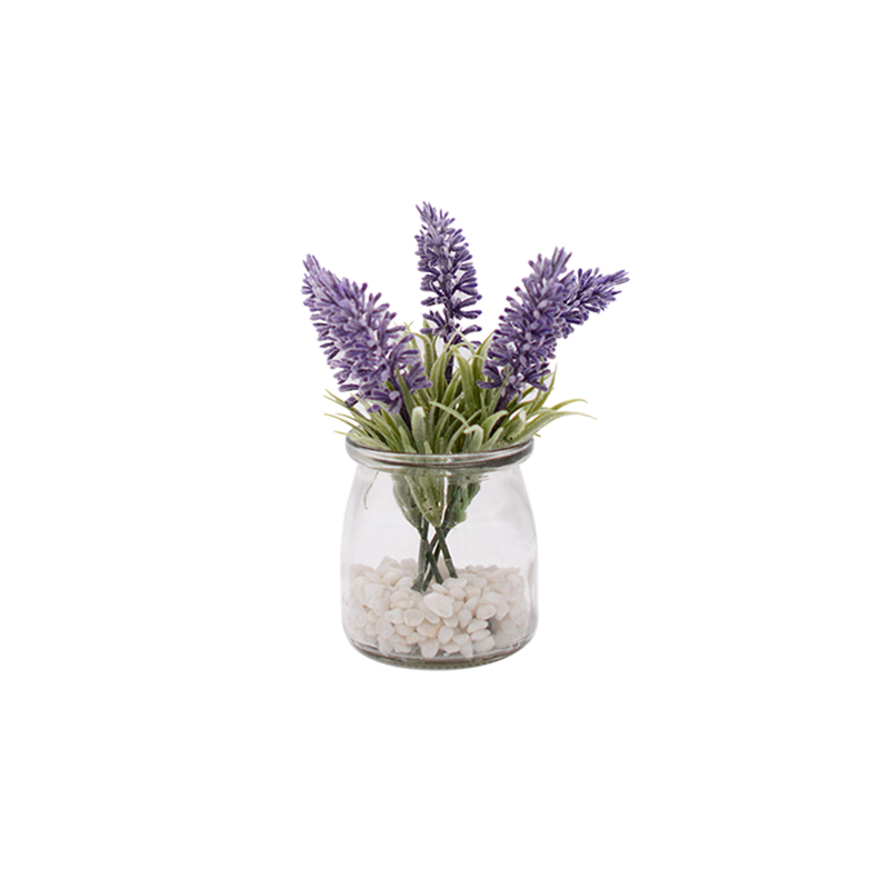 Lavender in Glass Pot with White Stone 