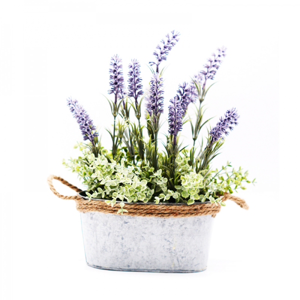 Lavender in Tin Pot 