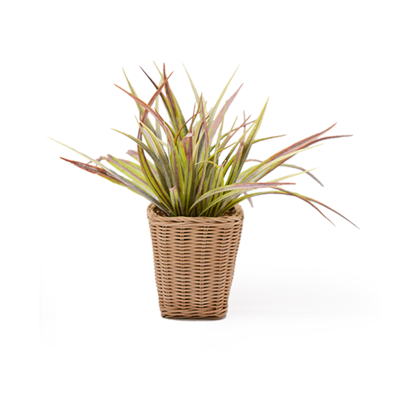 Grass in Rattan Pot 