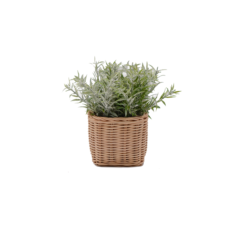 Greenery in Rattan Pot